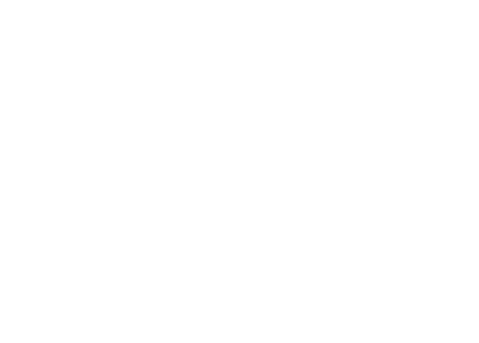 Flukka